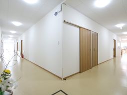 清潔感ある明るい廊下