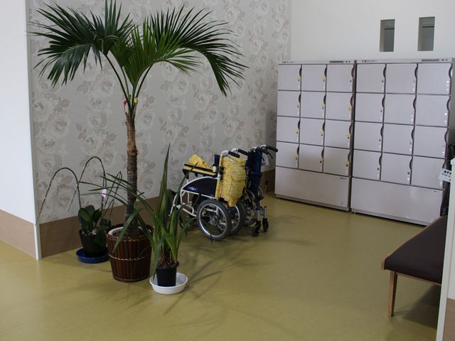車椅子とロッカーのある室内 廊下 植物が配置された落ち着いた雰囲気のスペースです。車椅子が置かれており、利用者にも配慮しています。