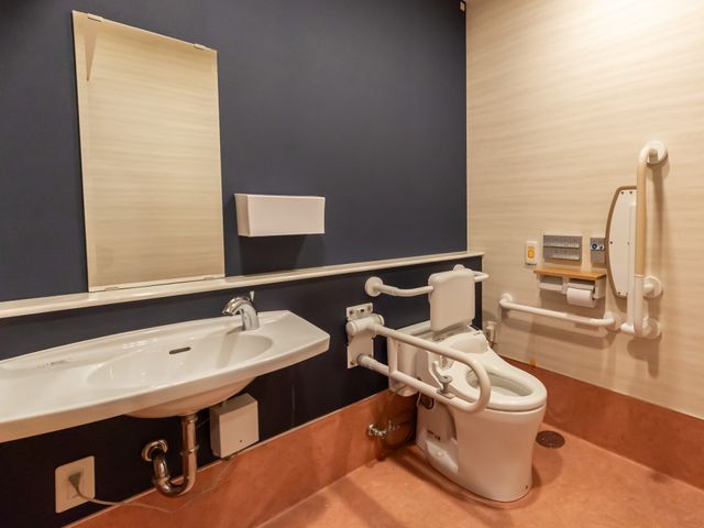 安全設計の洗面台とトイレ トイレ 安全に配慮されたトイレは、手すりが設置されており、安心して使用できます。