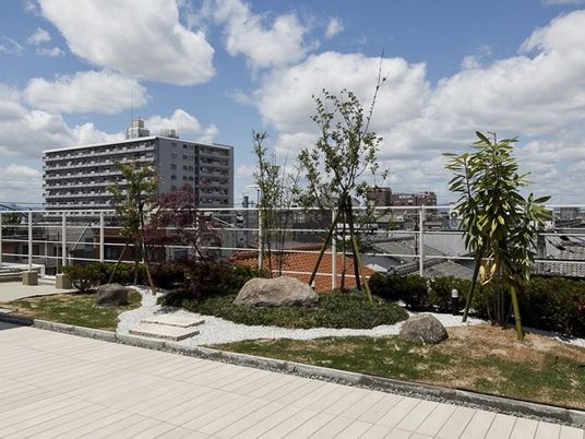 屋上庭園  