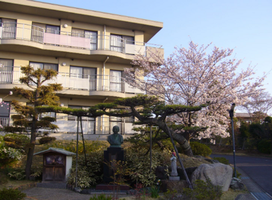 桜と建物の中庭