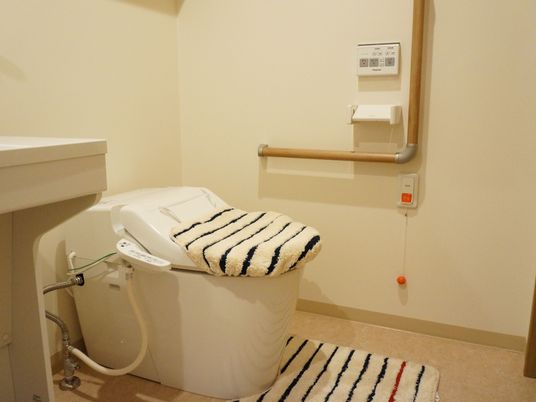 快適なトイレの一角