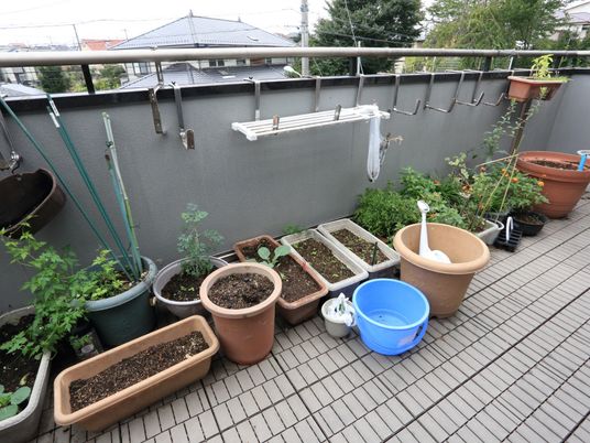 植物の世話ができるテラス