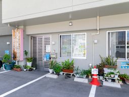 エントランスに緑の植物