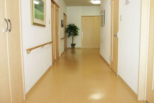 明るい廊下の様子