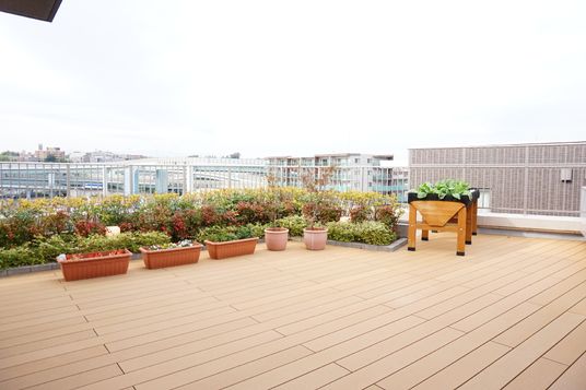植物が彩る屋上テラス