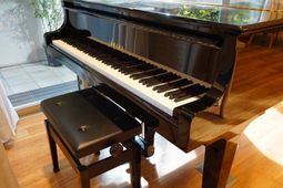 ピアノがある居室