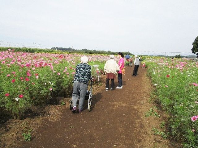 散策する人々と花畑 通所 ゆったりとした花畑を散歩する姿が見られます。心身のリフレッシュに配慮した環境でのお仕事に興味はありませんか。