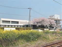 春の花が咲く施設外観