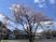 桜が見える外観  