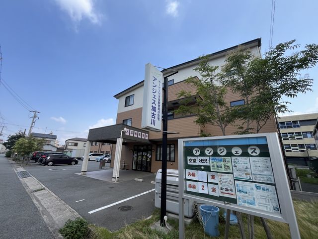 入り口と看板の外観 看板 施設の看板があり、入り口周辺は駐車スペースが整備されています。明るく開放的な印象です。