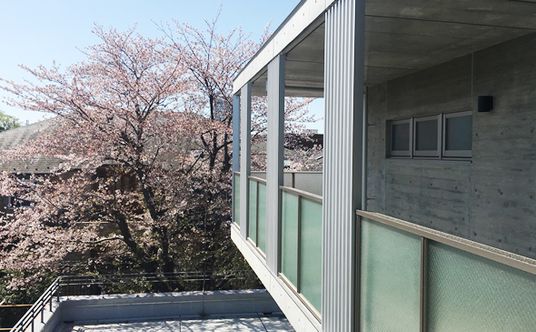 桜が見えるバルコニー