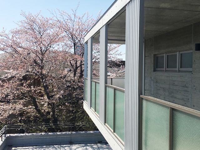 桜が見えるバルコニー バルコニー 季節を感じられる景色が楽しめるバルコニーです。リフレッシュできる開放感があります。