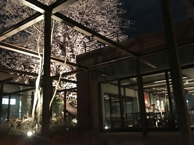 夜の照明が美しい庭 庭 夜のライトアップが美しい庭です。リラックスした雰囲気で夜間の散策が楽しめます。