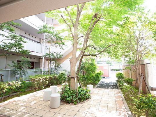 中庭の緑やすい空間