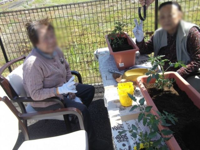 庭園での作業 庭   陽光が差し込む庭で、二人が楽しそうに植物を育てています。リラックスしたひと時が感じられます。