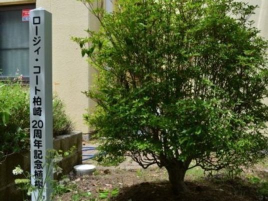 植栽と記念碑のある庭  