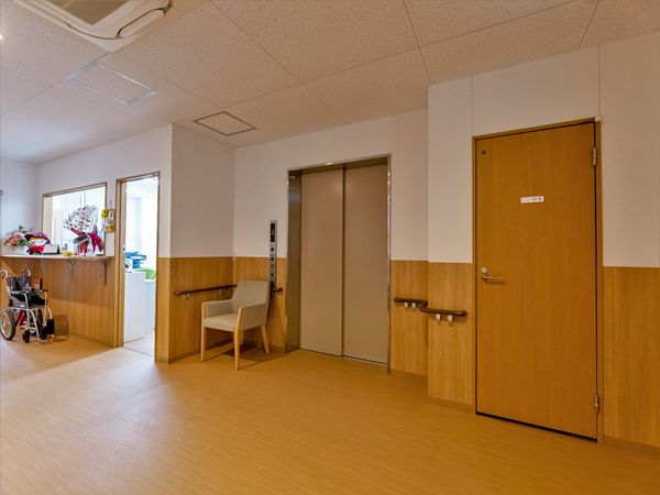 明るい廊下と洗練された椅子