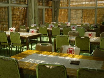 緑溢れる食堂