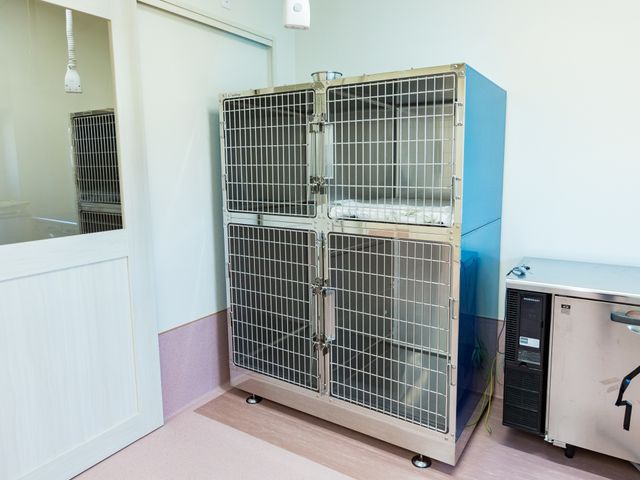 ケージとエアコンのある空間 動物病院 清潔で整理された環境で、様々な訓練が行えるスペースがあります。室内の温度管理も行き届いており、快適な環境が整っています。