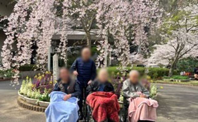 桜が咲く中庭