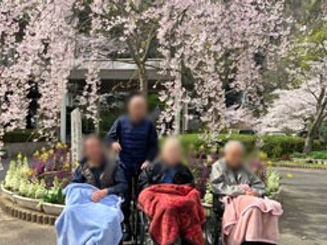 桜が咲く中庭 中庭 春の訪れを感じる中庭では、利用者の方々がゆったりとした時間を楽しんでいます。
