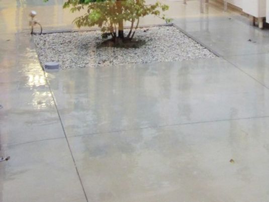 中庭の植栽スペース  