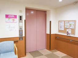 清潔な廊下とエレベーター