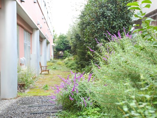 緑豊かな施設の庭