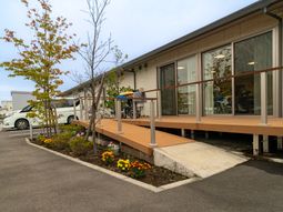 広々とした屋外の木々