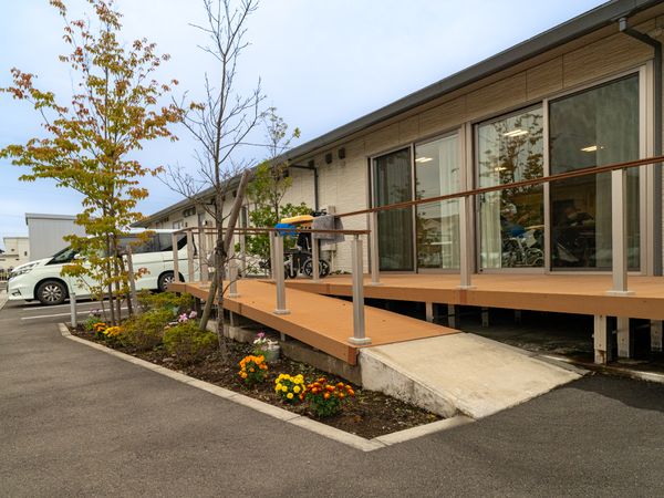 広々とした屋外の木々
