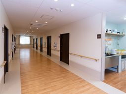 明るい廊下と手すり