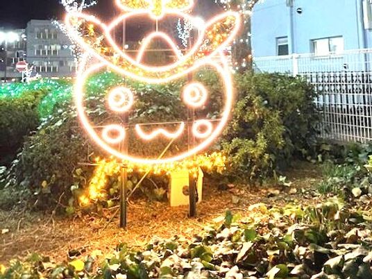 イルミネーションの庭  