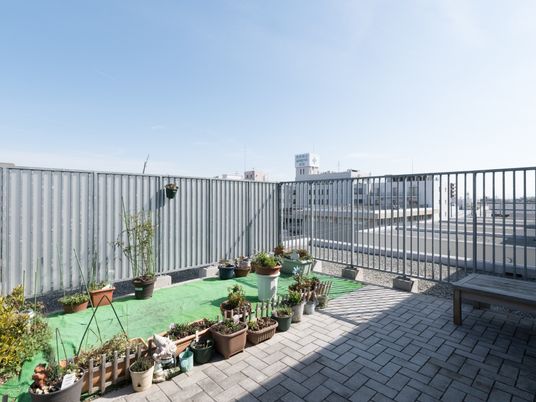屋上の緑化されたスペース