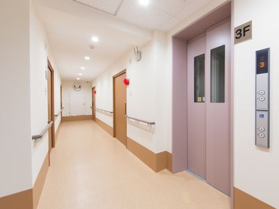 清潔な廊下とエレベーター
