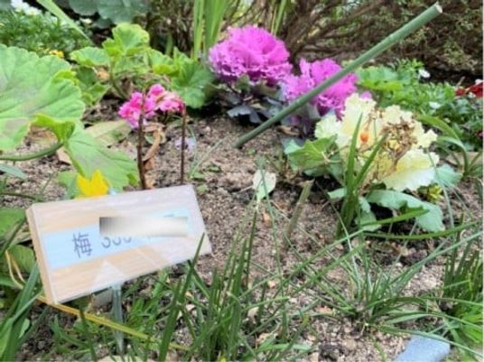 花壇の様子の庭  