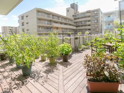 陽光あふれるテラス風景