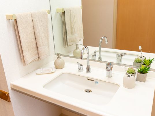 洗面所の清潔な設備