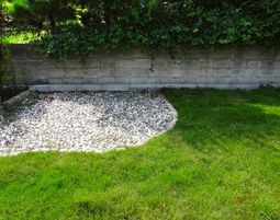 緑豊かな庭の一角