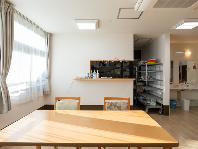 自然光の明るい室内