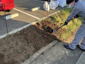 花壇の手入れをする職員  