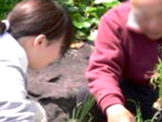 庭での活動