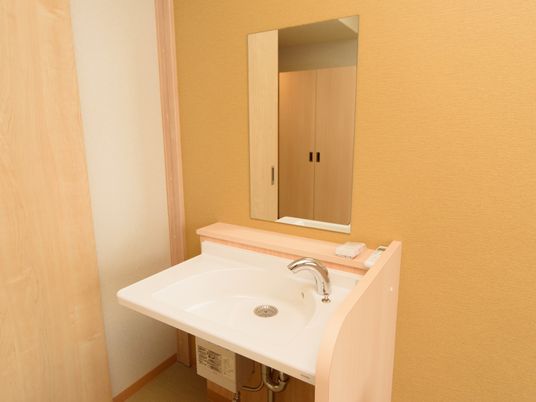 清潔な洗面台と鏡