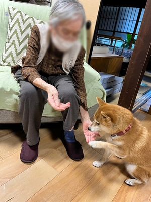 和やかな交流のリビング