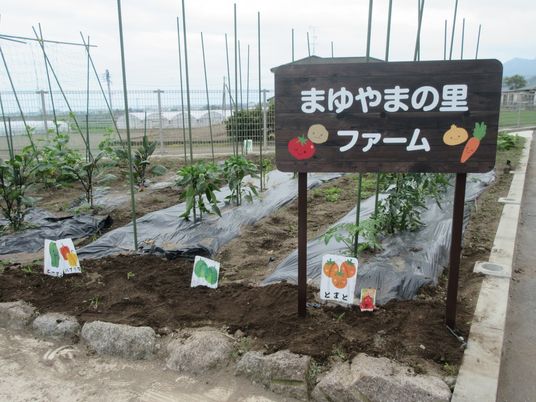 野菜畑の看板
