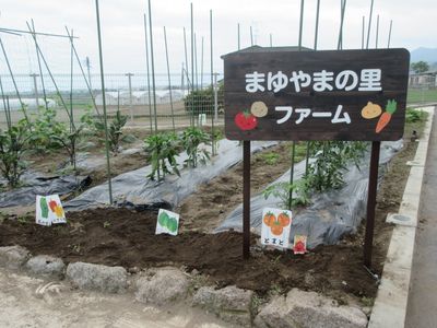 野菜畑の看板