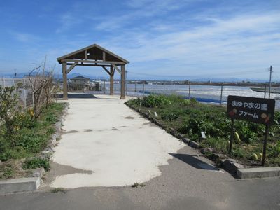 風景の中の庭