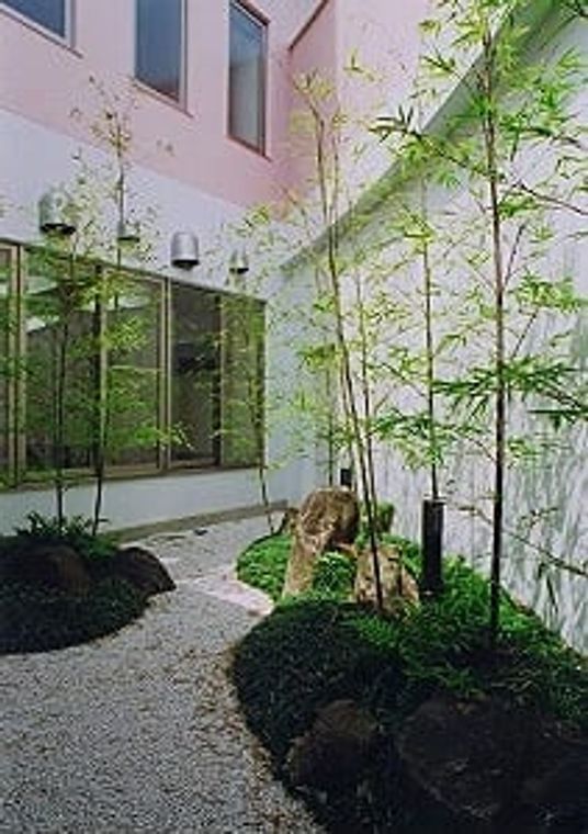 竹が植えられた中庭
