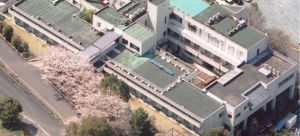 桜が咲く外観