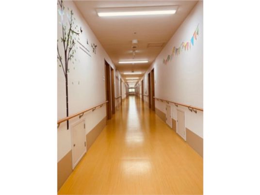 清潔感ある明るい廊下